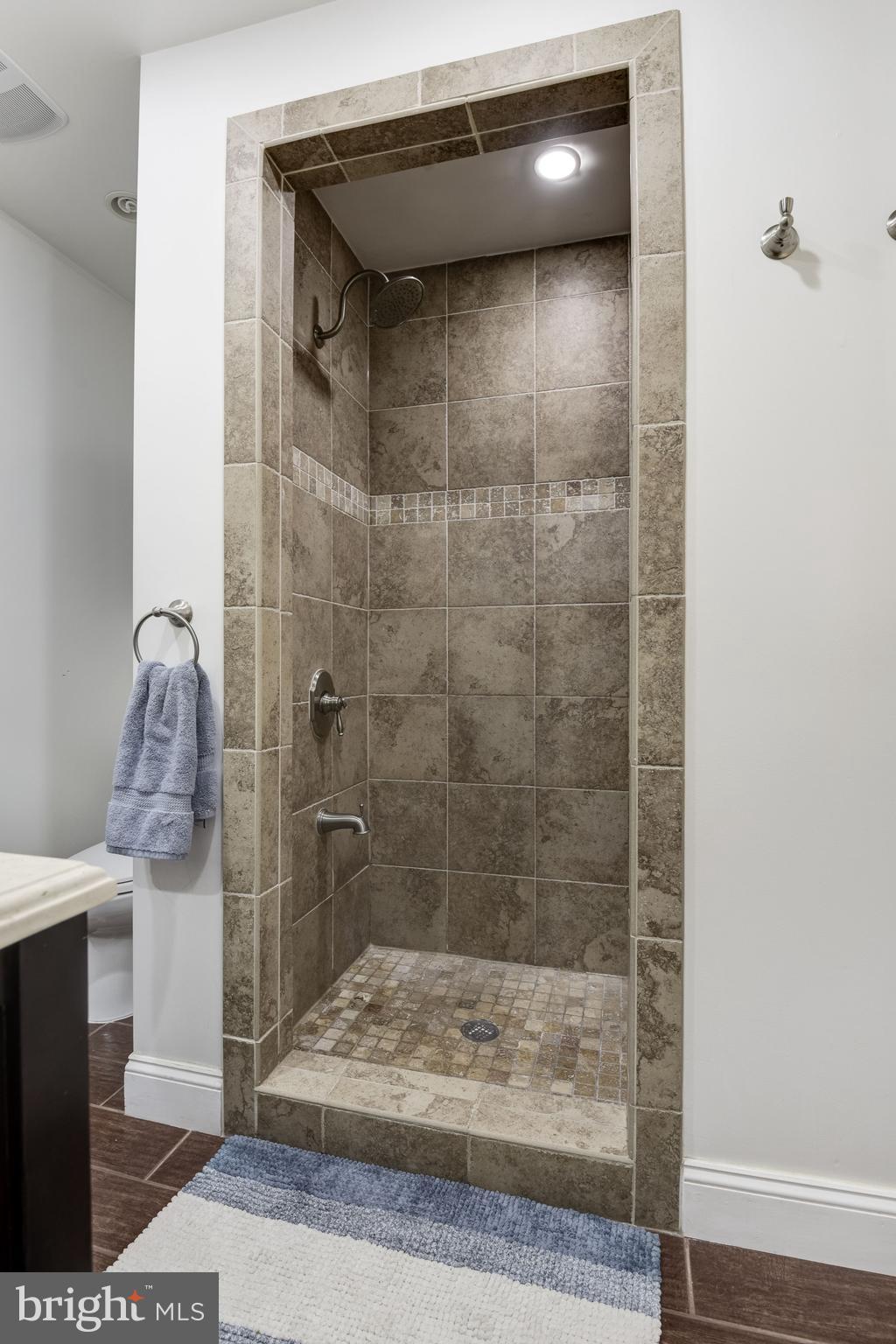 2318 Windsor Road Alexandria, VA 22307 - Photo 17 of 30 Bath (Master)