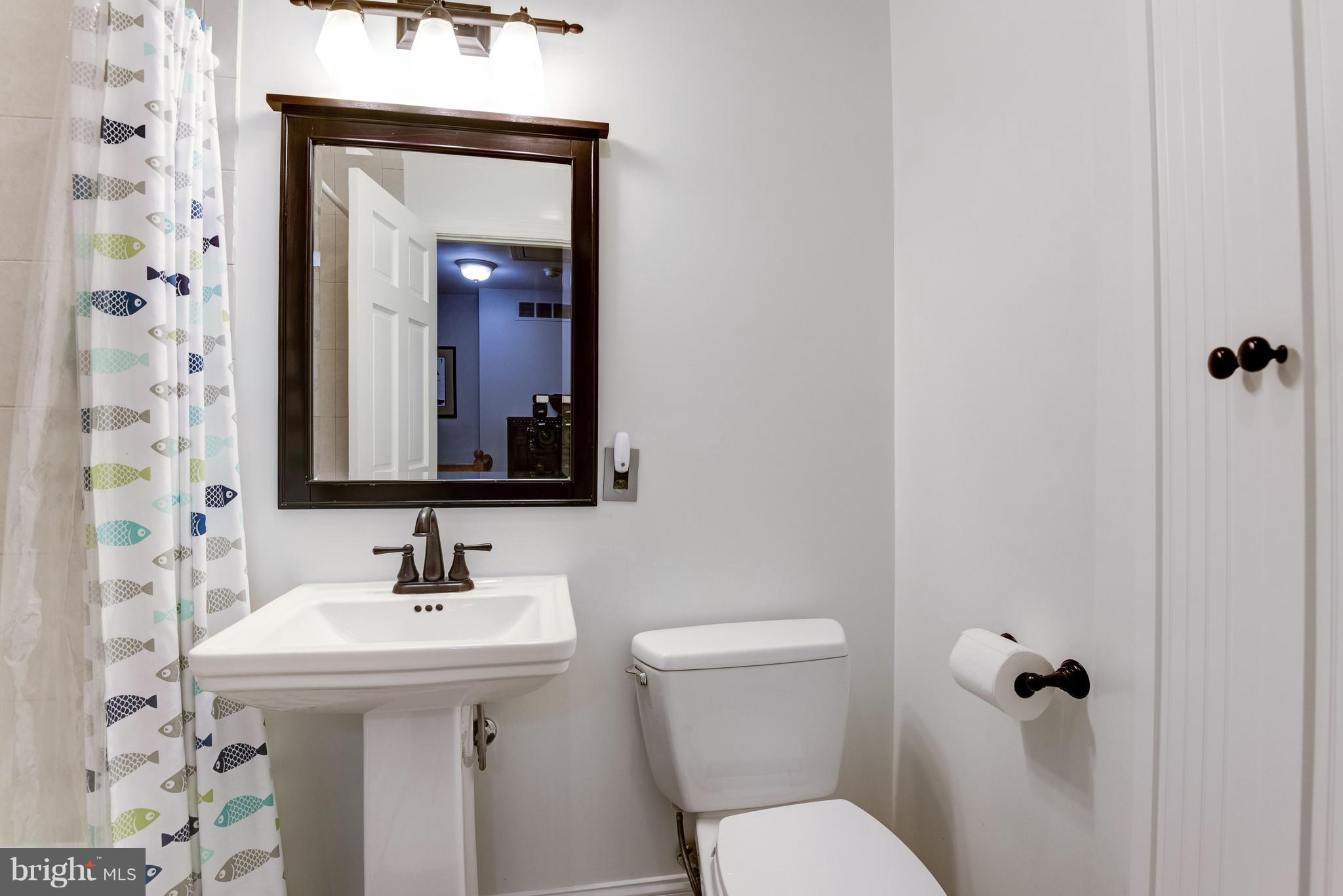 2318 Windsor Road Alexandria, VA 22307 - Photo 20 of 30 Bath (Master)