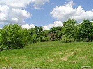 7919 Ridge Road Canton, MI 48187 - Photo 1 of 1 on a natural beauty road