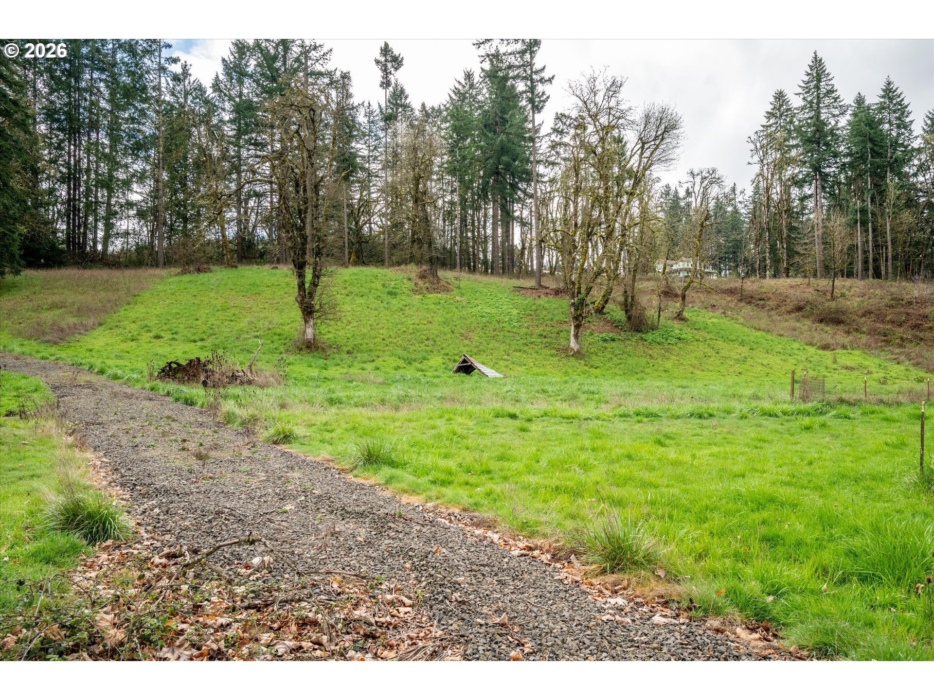 Worth Springfield, OR 97478 - Photo 20 of 24 a view of a park with large trees
