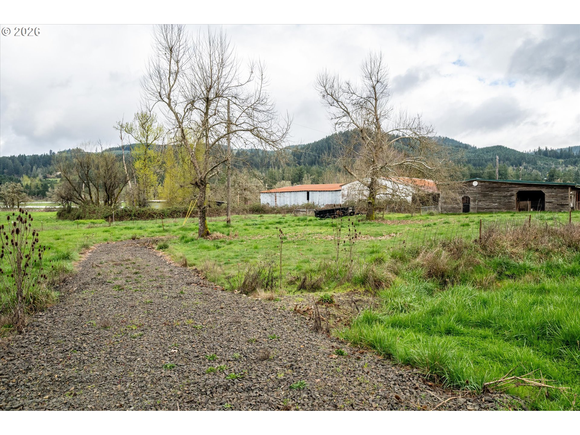 Worth Springfield, OR 97478 - Photo 23 of 24 a view of a field with an trees
