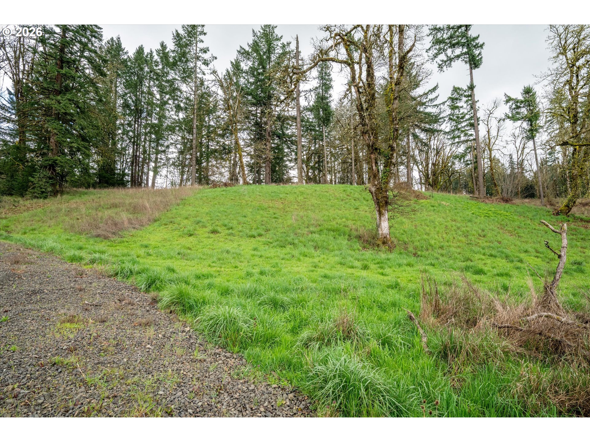 Worth Springfield, OR 97478 - Photo 24 of 24 a view of green field