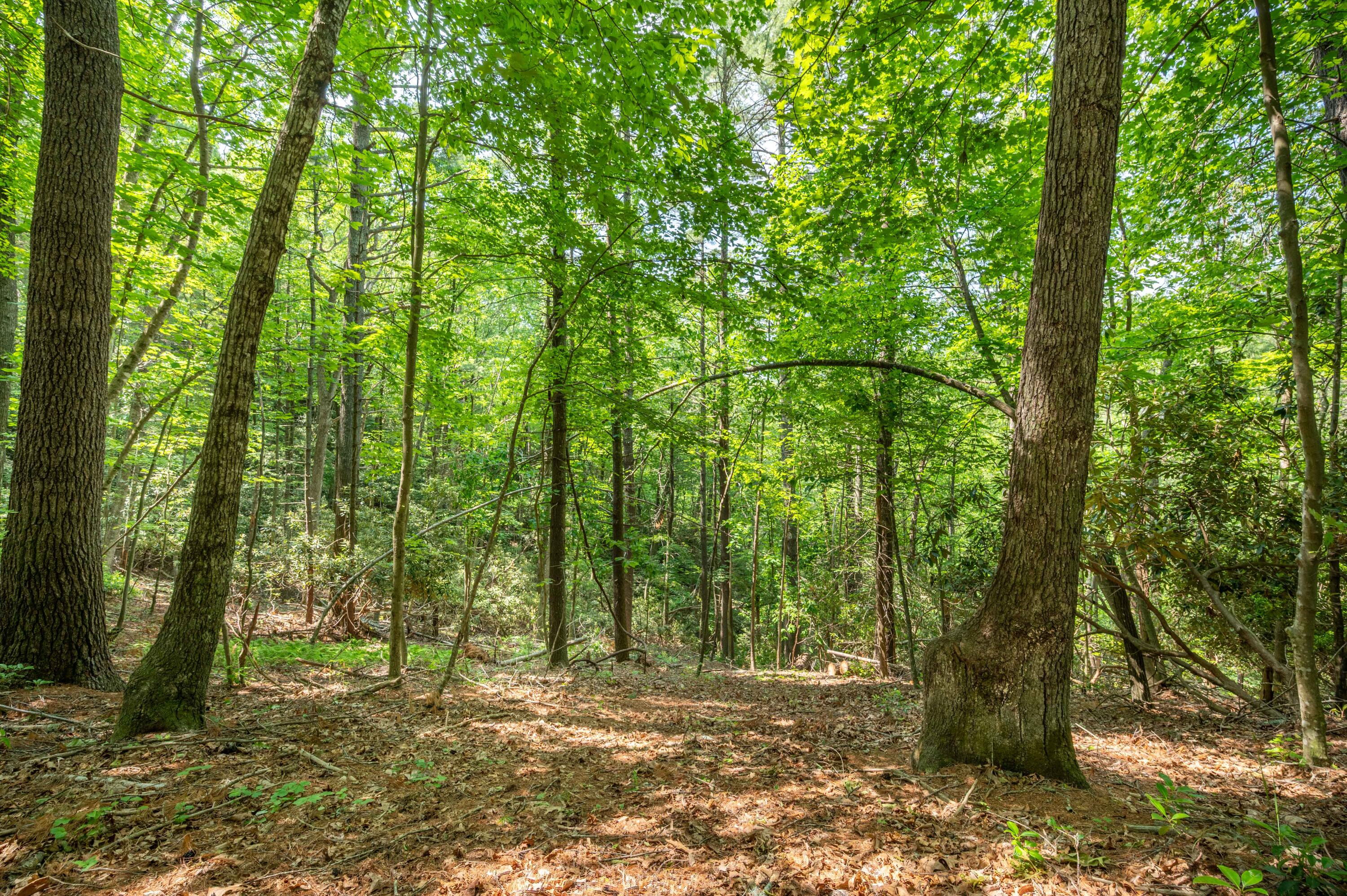 1073 Timberline Road Southeast Copper Hill, VA 24079 - Photo 29 of 56 28