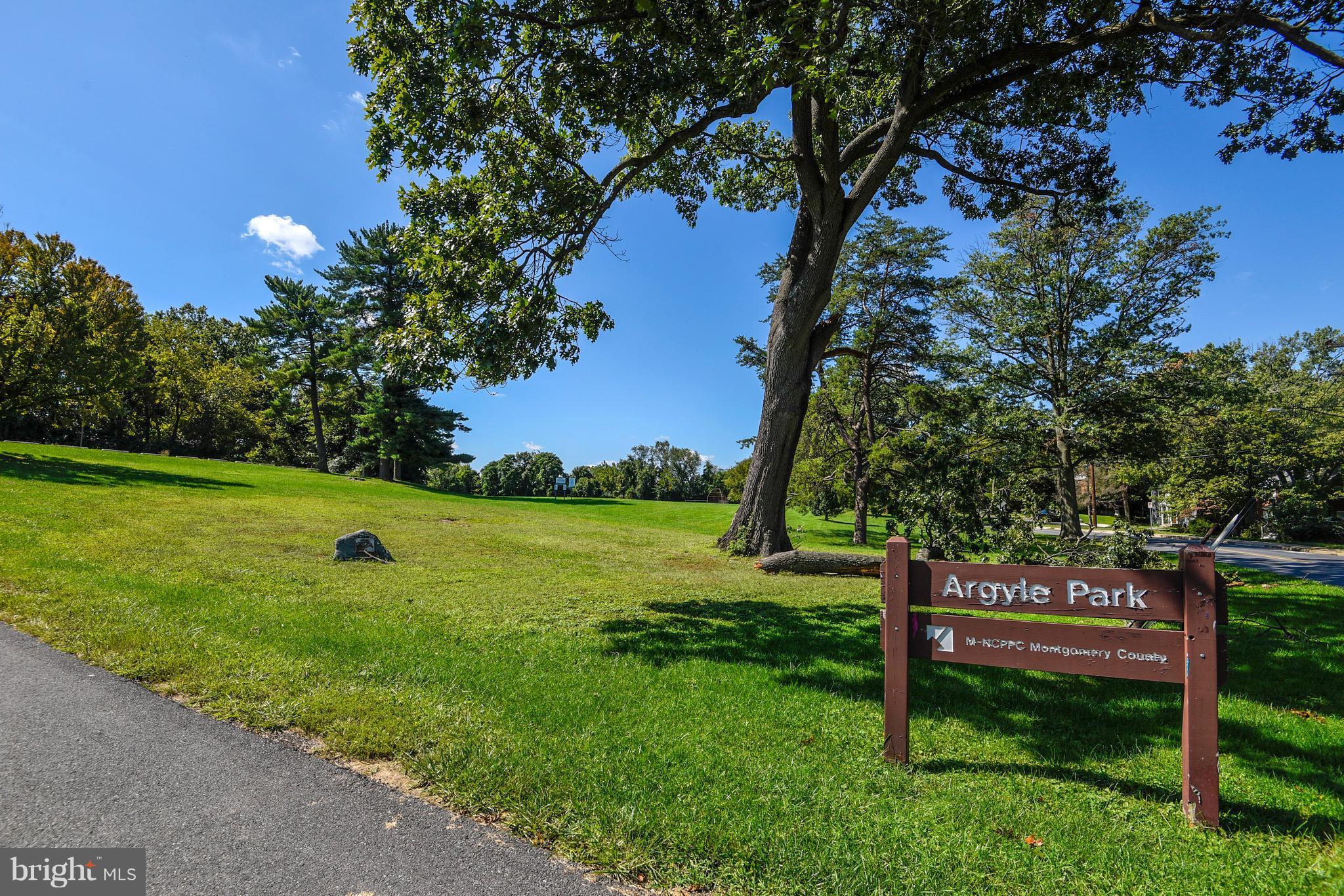 10001 Raynor Road Silver Spring, MD 20901 - Photo 26 of 30 a view of a park with large trees