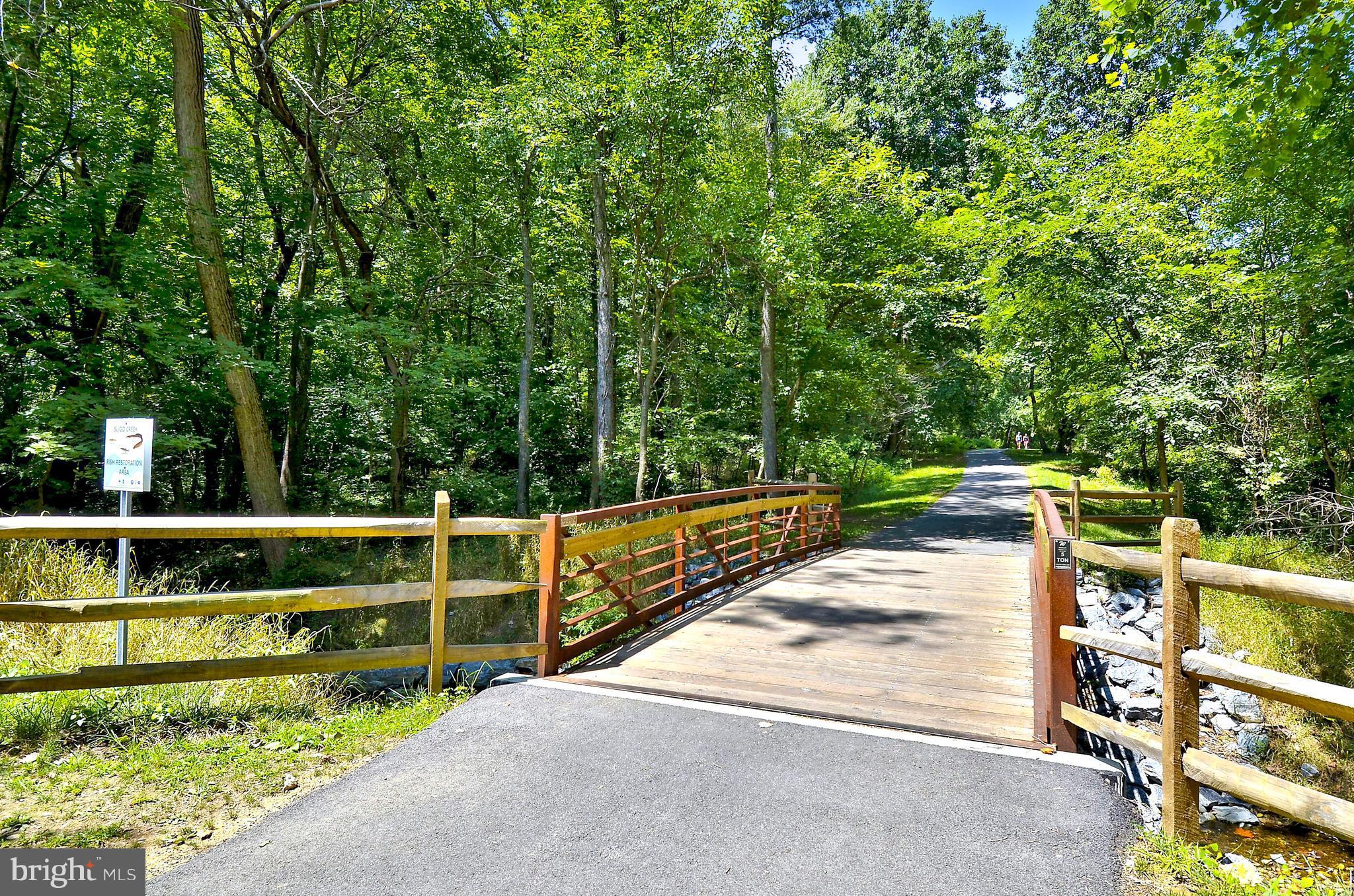 10001 Raynor Road Silver Spring, MD 20901 - Photo 29 of 30 a view of small yard and large trees