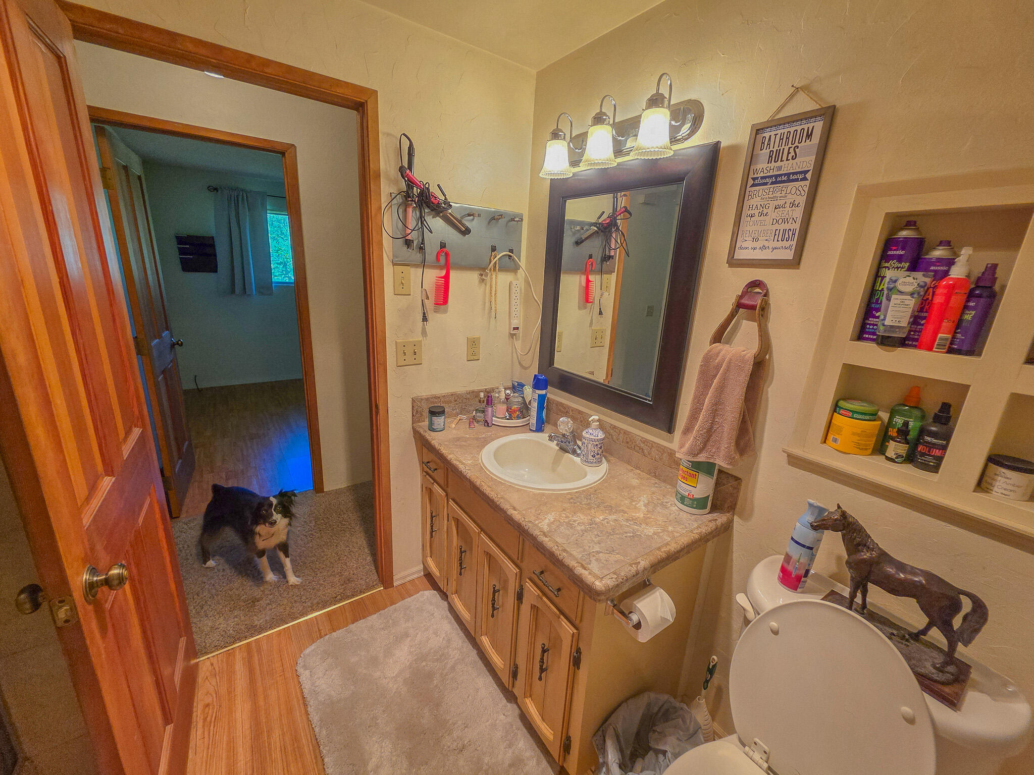 975 Cedar Flat Road Williams, OR 97544 - Photo 54 of 72 20250502_111840