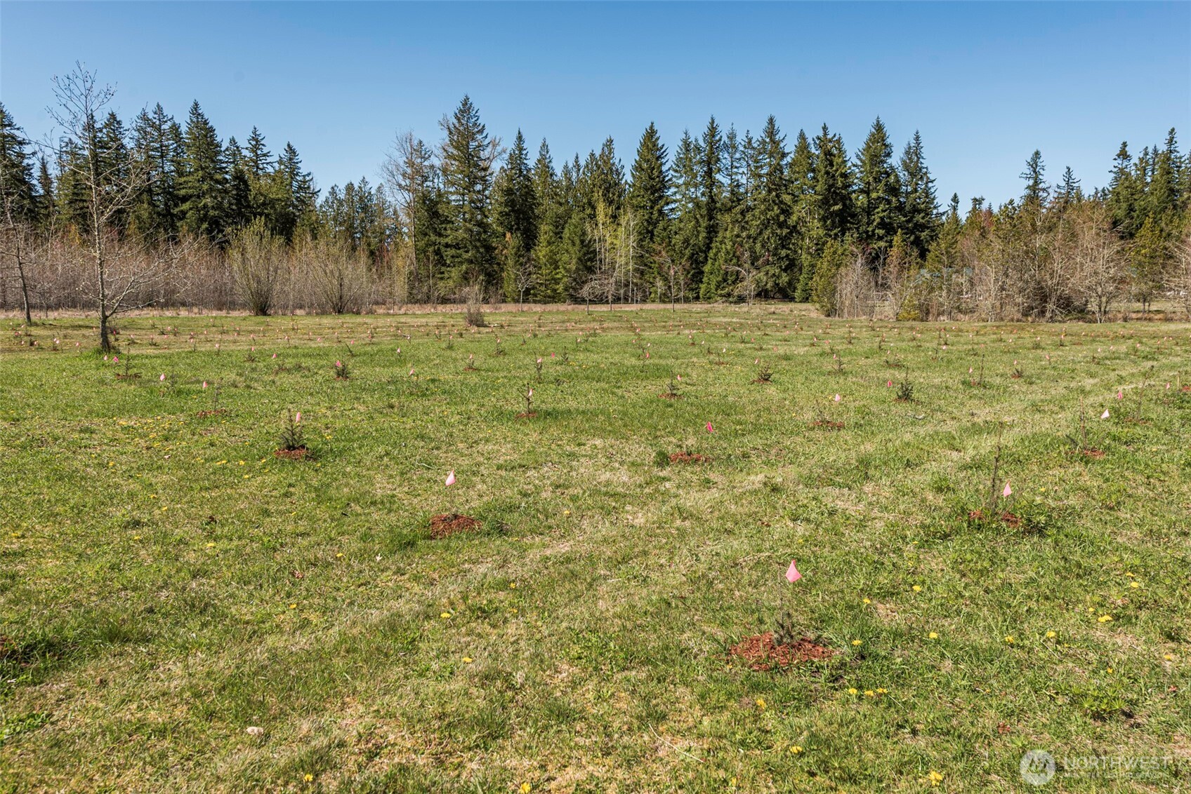 4890 Lost Mountain Road Sequim, WA 98382 - Photo 12 of 36 a view of outdoor space with green field and trees
