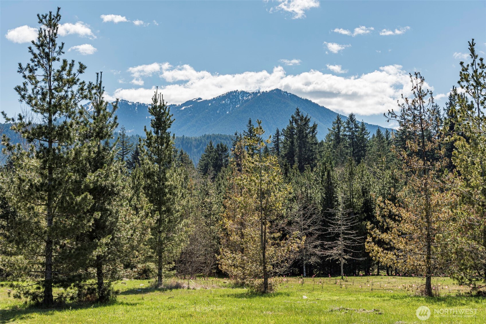 4890 Lost Mountain Road Sequim, WA 98382 - Photo 2 of 36 a view of a swimming pool with an outdoor space and seating area