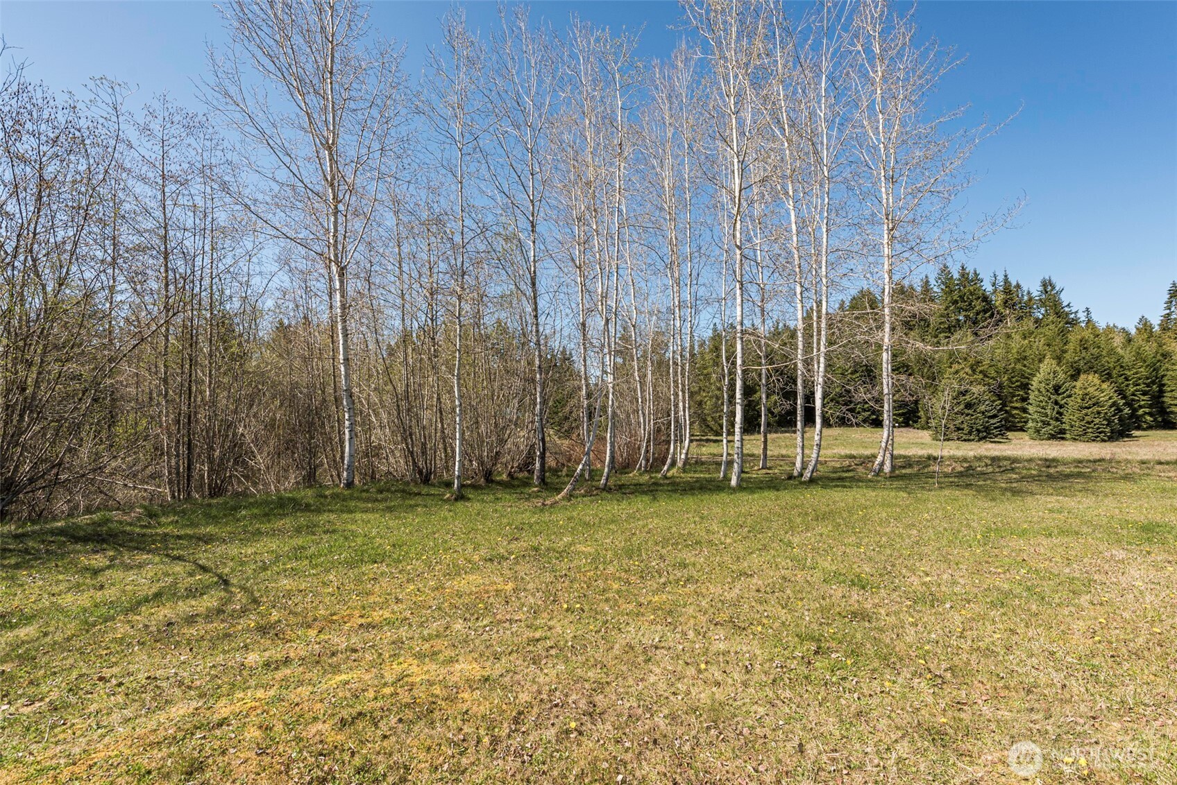 4890 Lost Mountain Road Sequim, WA 98382 - Photo 29 of 36 a view of a yard with a trees