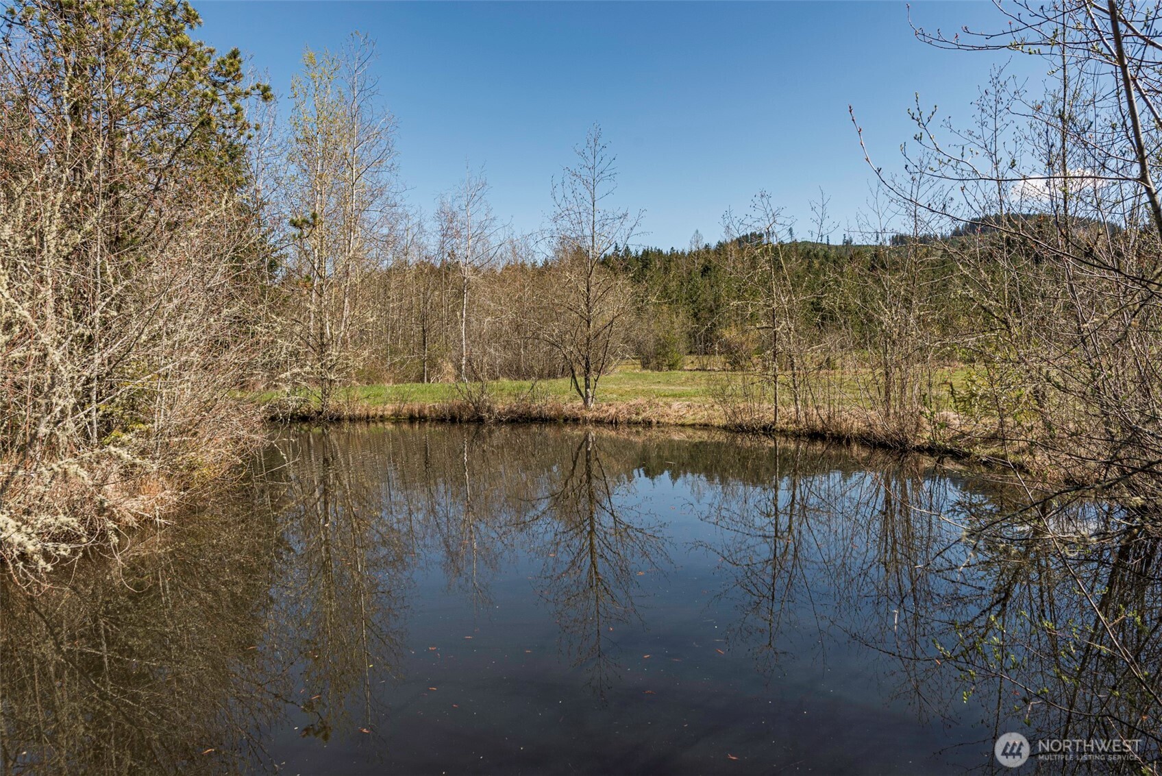 4890 Lost Mountain Road Sequim, WA 98382 - Photo 3 of 36