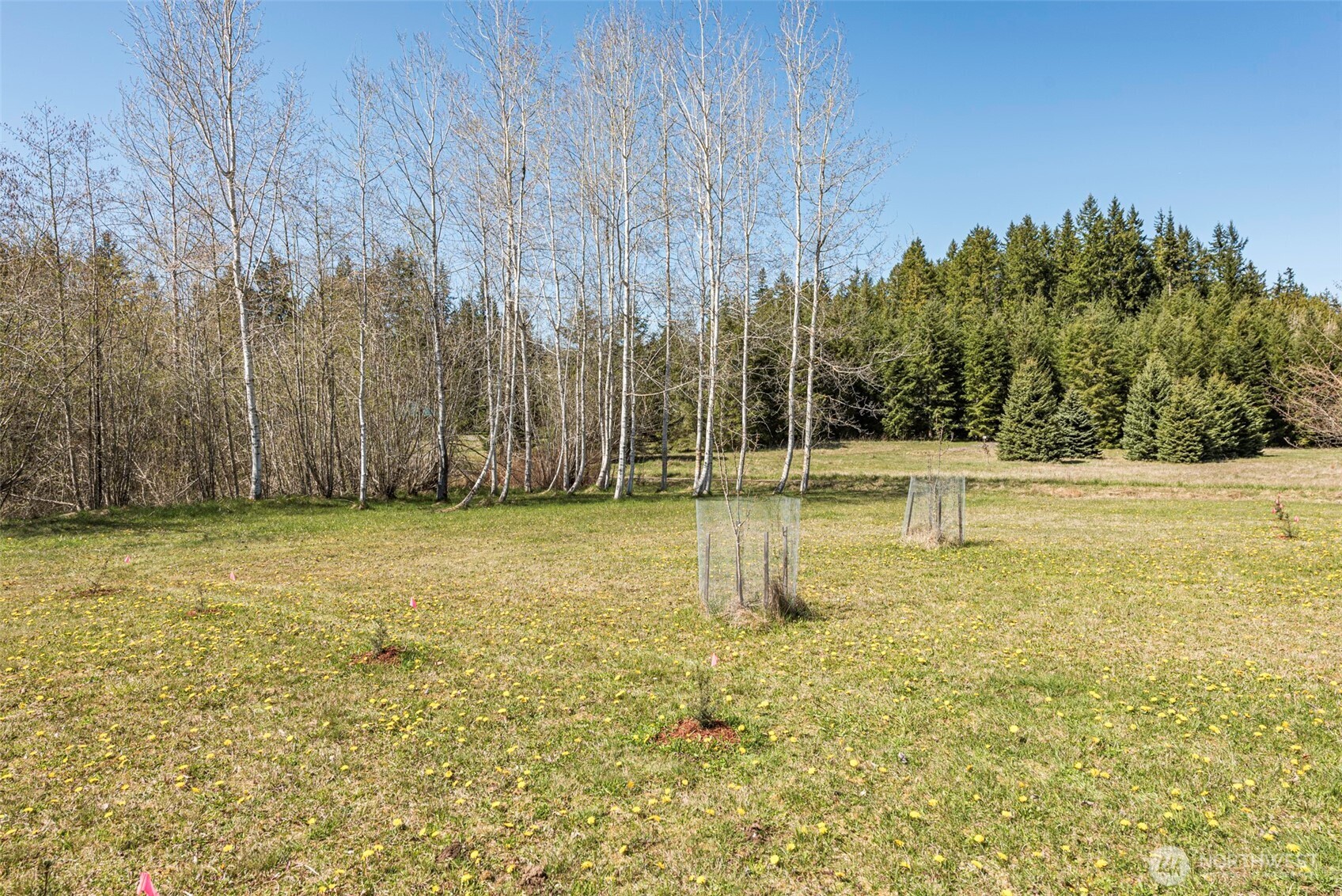 4890 Lost Mountain Road Sequim, WA 98382 - Photo 4 of 36 a view of a swimming pool with an outdoor space and seating area