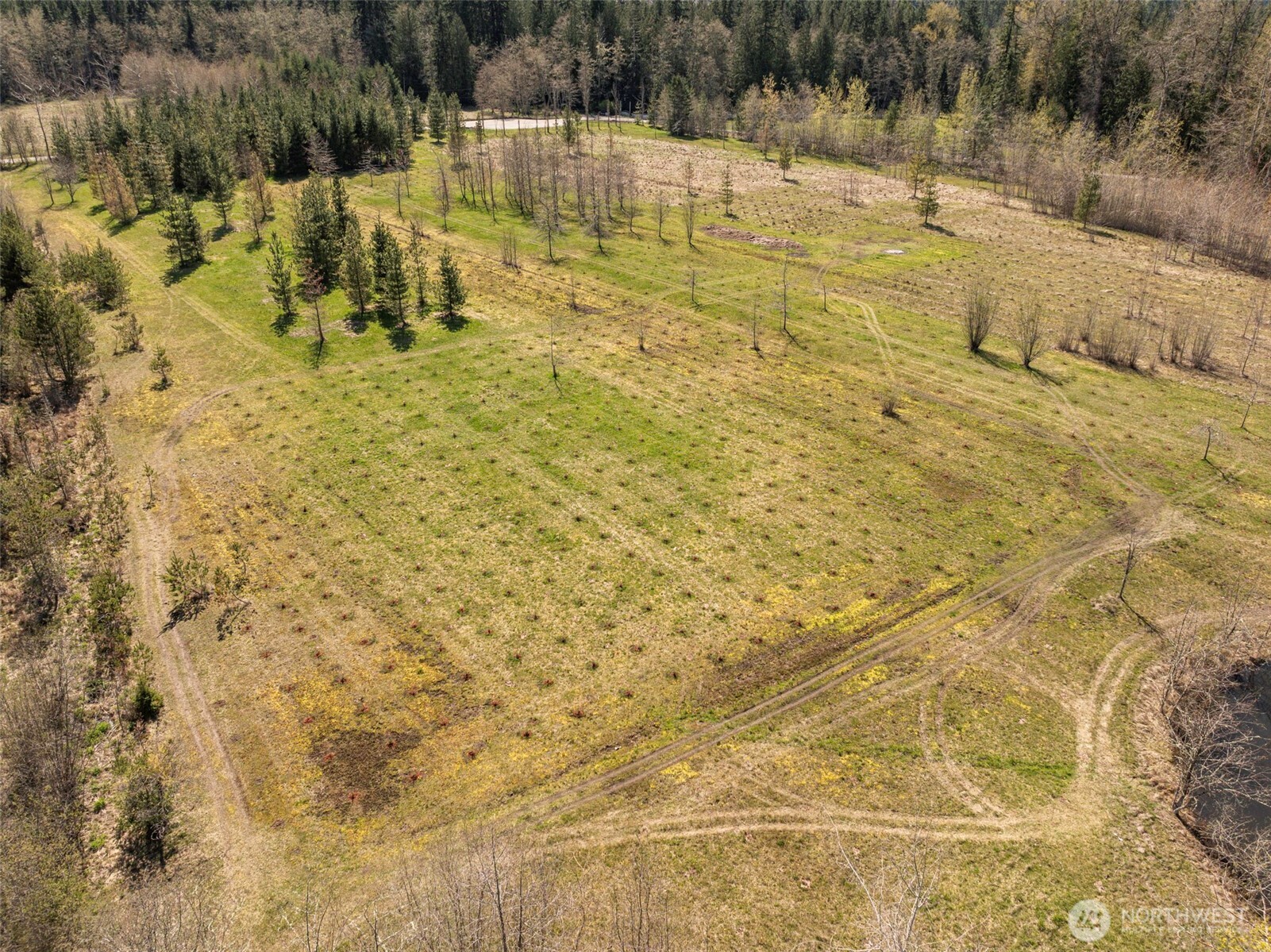 4890 Lost Mountain Road Sequim, WA 98382 - Photo 8 of 36 a view of a yard