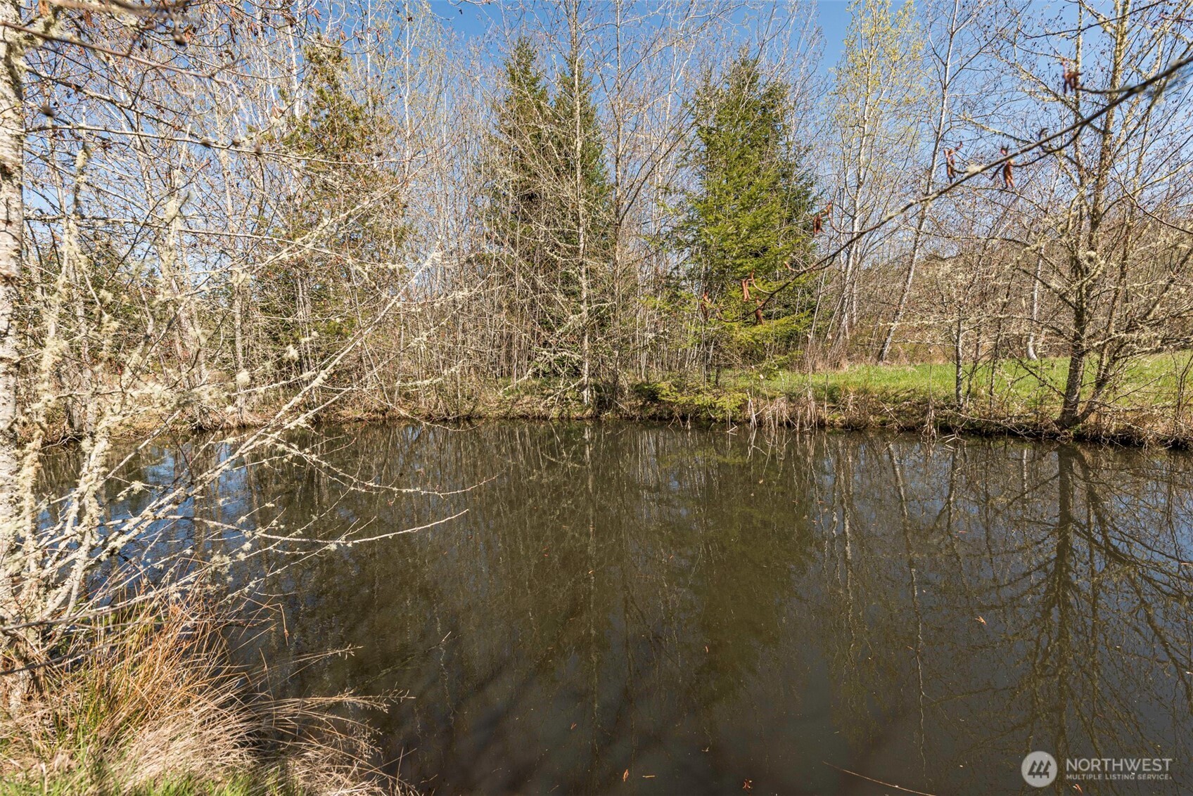 4890 Lost Mountain Road Sequim, WA 98382 - Photo 10 of 36 a view of lake with a tree