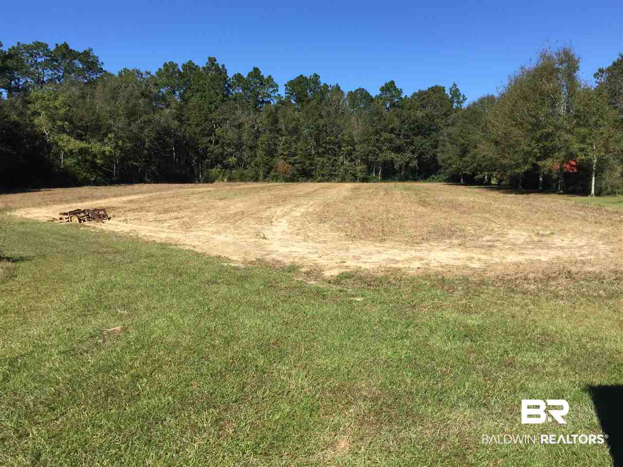 16621 Thompson Road Loxley, AL 36551 - Photo 5 of 29 Acreage Behind Home