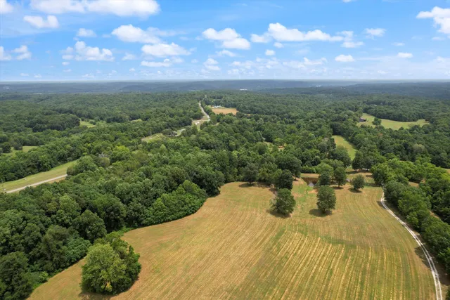 a view of yard with swimming pool and green space