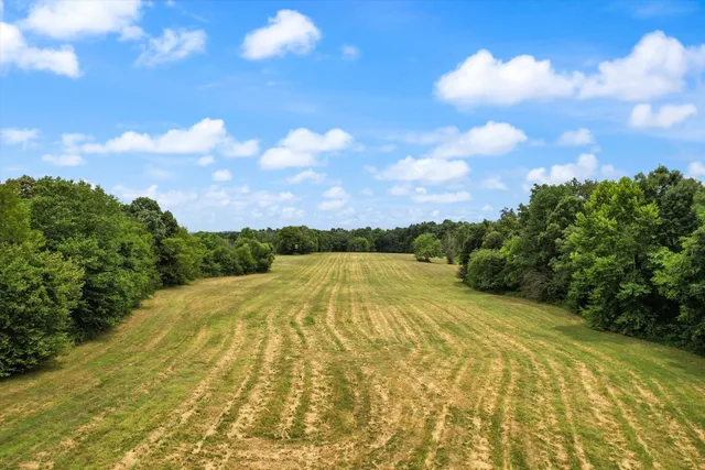 a backyard of a house with lots of green space