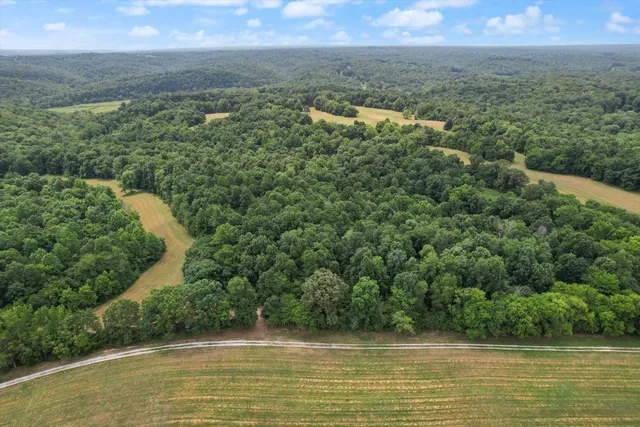 a view of yard with swimming pool and green space