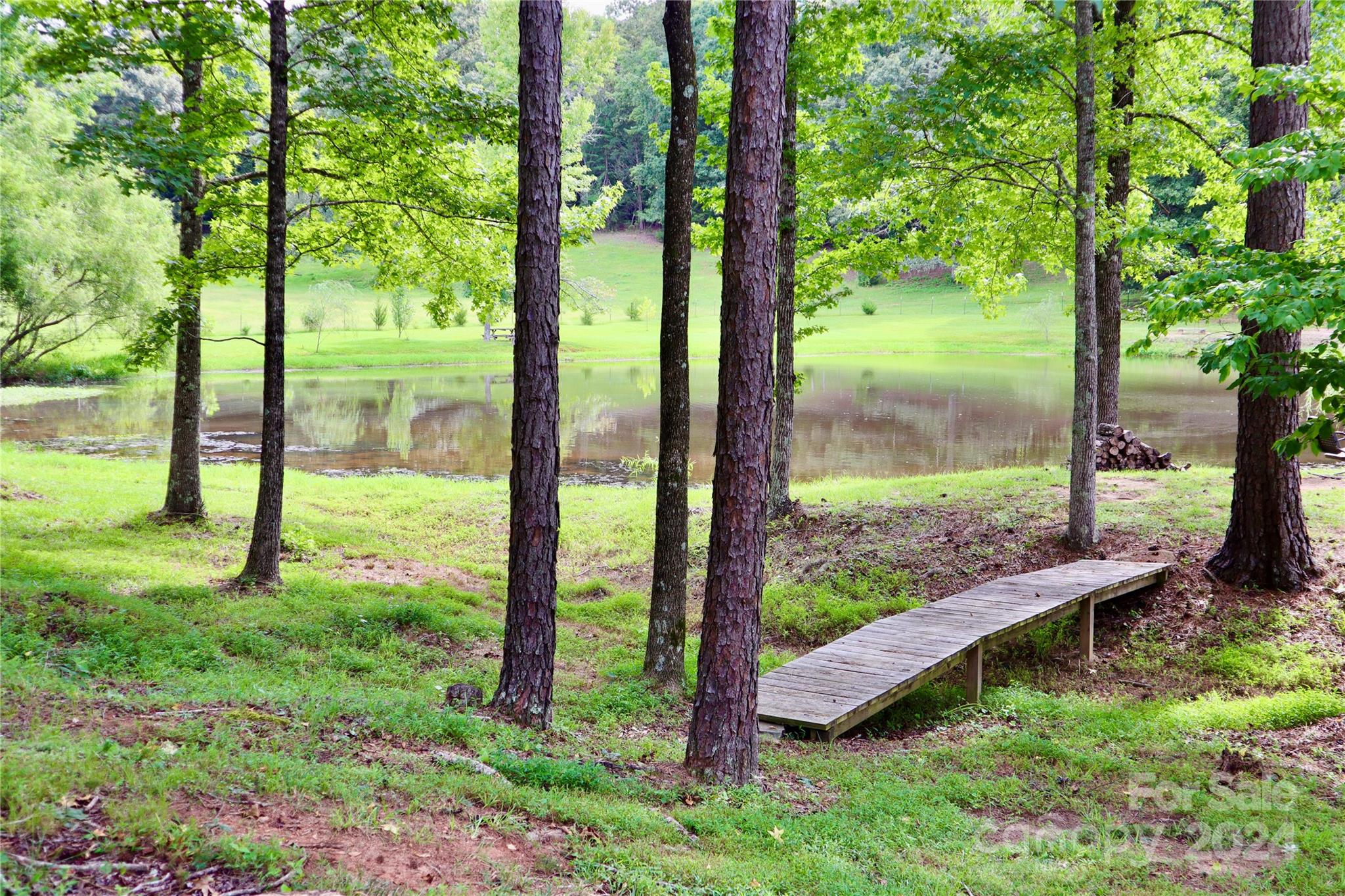 627 Samantha Road McConnells, SC 29726 - Photo 8 of 9 Gallery Image 8