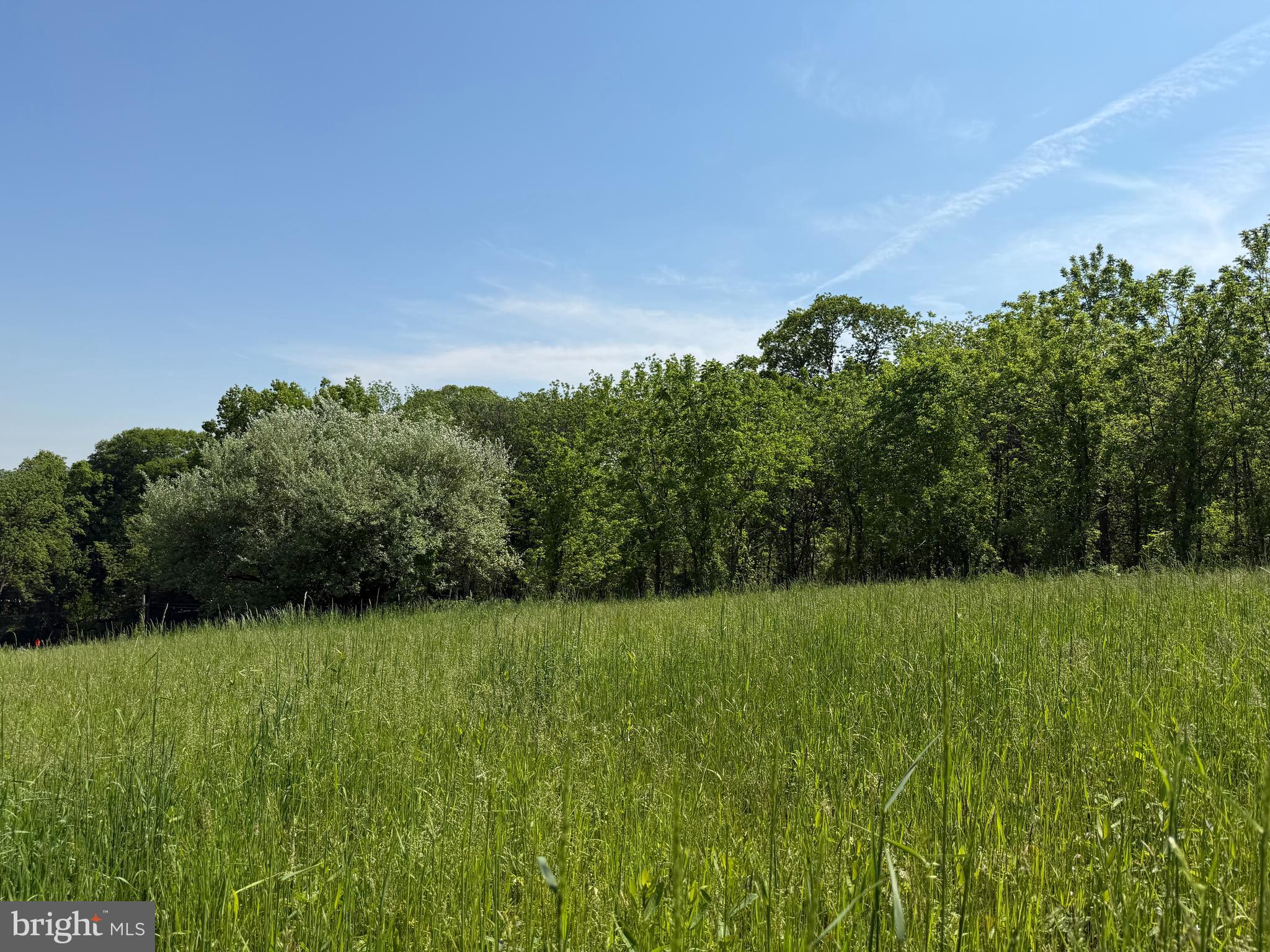 6596 Chestnut Hill Church Road Coopersburg, PA 18036 - Photo 6 of 7 a view of a grassy area