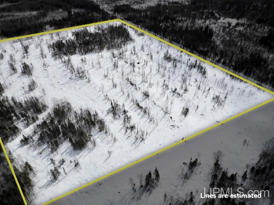 Tbd North Rock 38th Rd Sw 40 Road Rock, MI 49880 - Photo 3 of 29