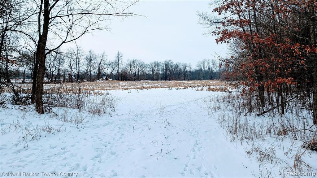 0 Rathbon Road Byron, MI 48418 - Photo 1 of 5