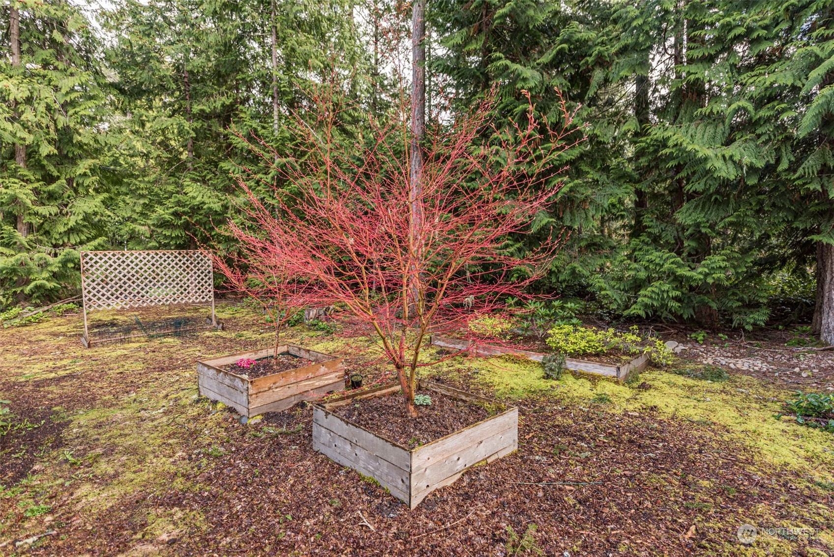 521 Hunt Road Port Angeles, WA 98363 - Photo 39 of 39 Gallery Image 39