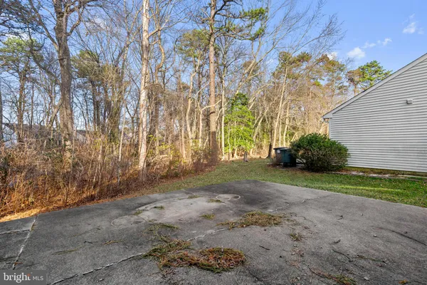 a view of backyard and tree