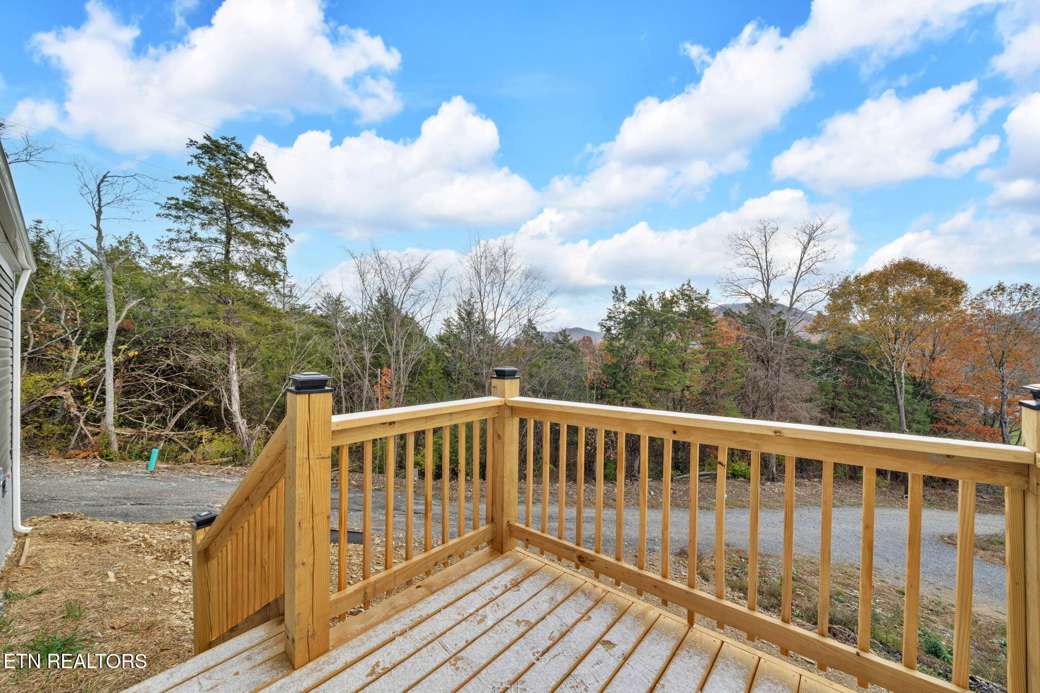 182 Tazewell Pike Luttrell, TN 37779 - Photo 8 of 23 Wooded View