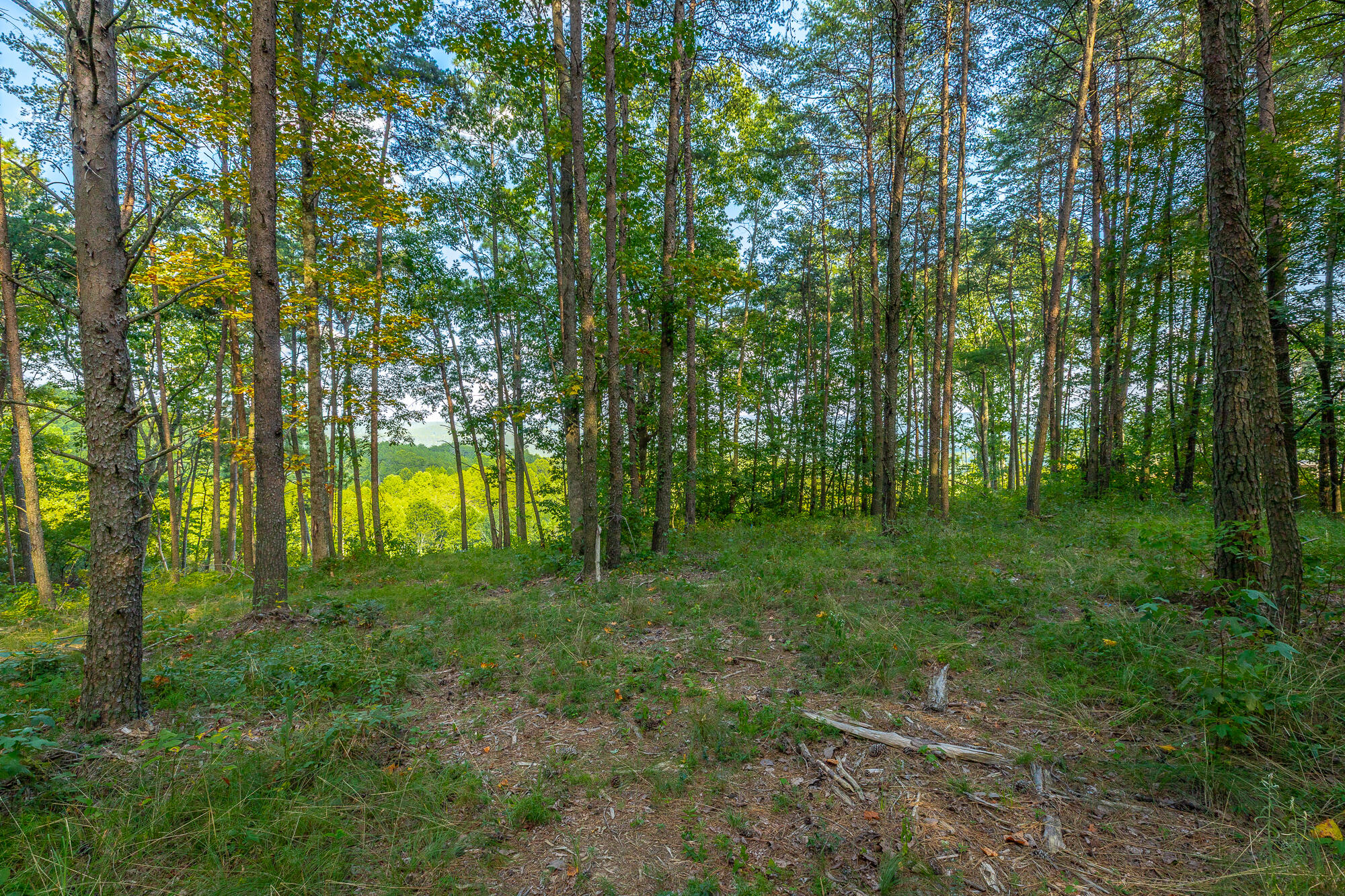 0 High Ground Road, Unit LOT 2218 Guild, TN 37340 - Photo 34 of 115 0 High Ground Road - Lot 2218 HD-69