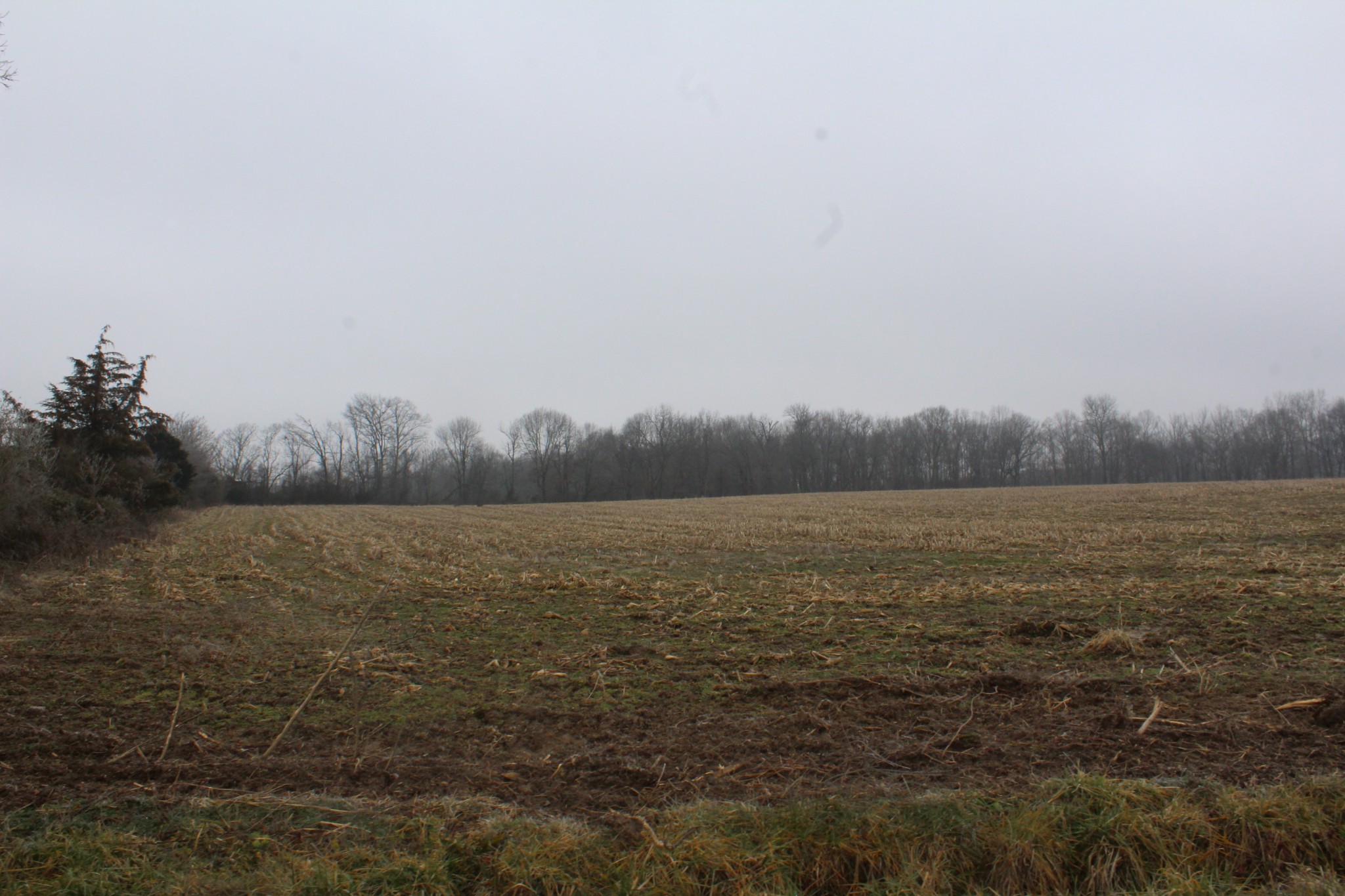 0 Jacobs Pillar Road Smithville, TN 37166 - Photo 1 of 3 Gallery Image 1
