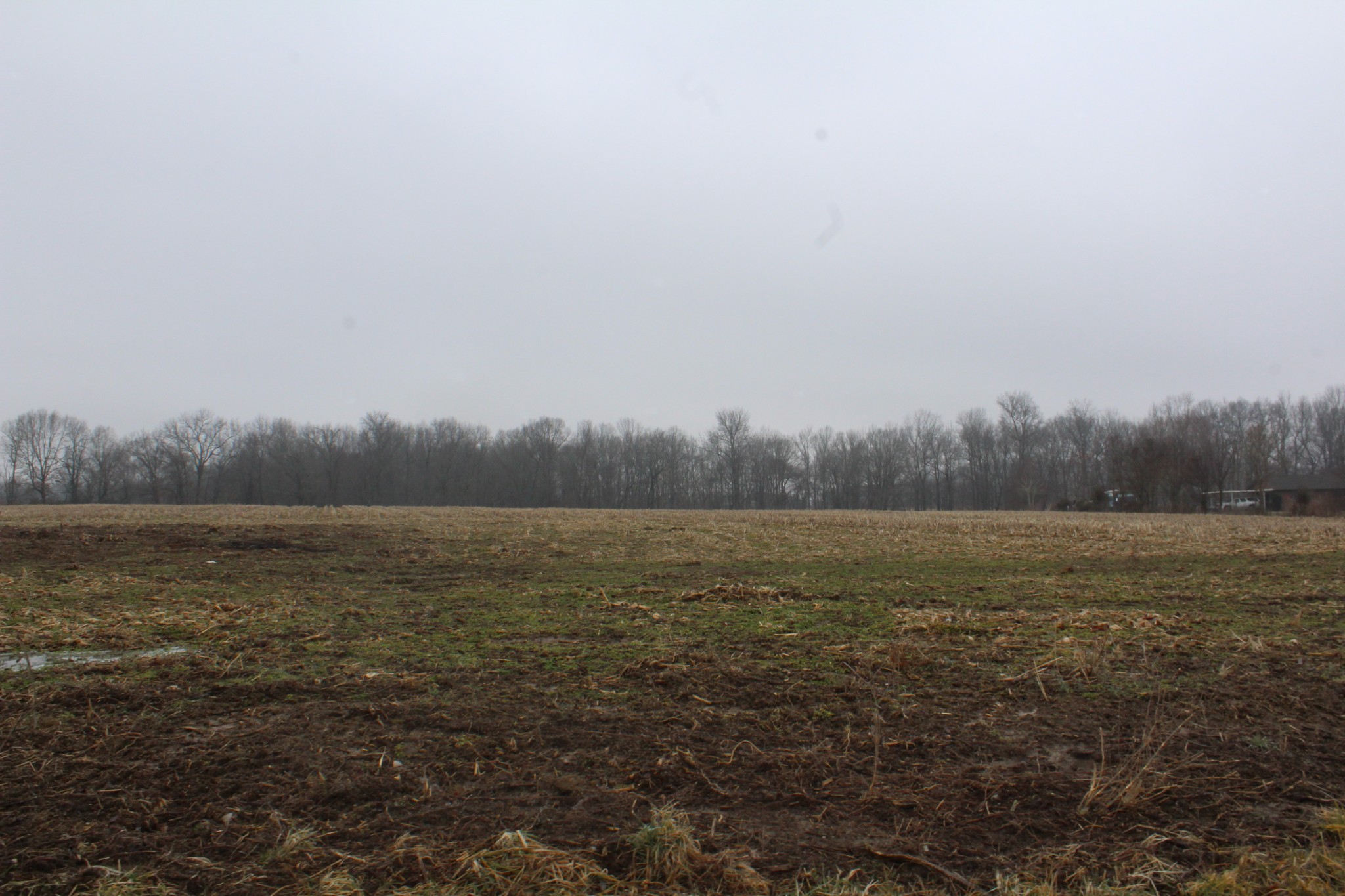 0 Jacobs Pillar Road Smithville, TN 37166 - Photo 2 of 3 Gallery Image 2