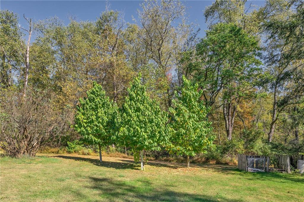 4032 Ewalt Road Gibsonia, PA 15044 - Photo 5 of 40 a view of swimming pool with a yard