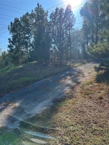 a view of a yard with yellow lighting