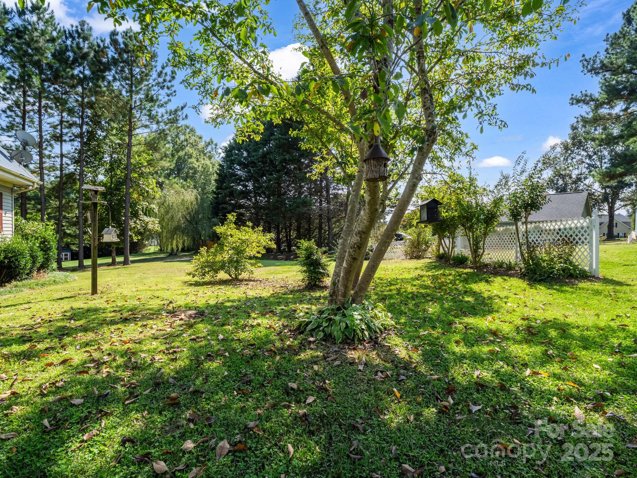 130 Briarwood Drive Rutherfordton, NC 28139 - Photo 45 of 48 a view of a yard with a tree