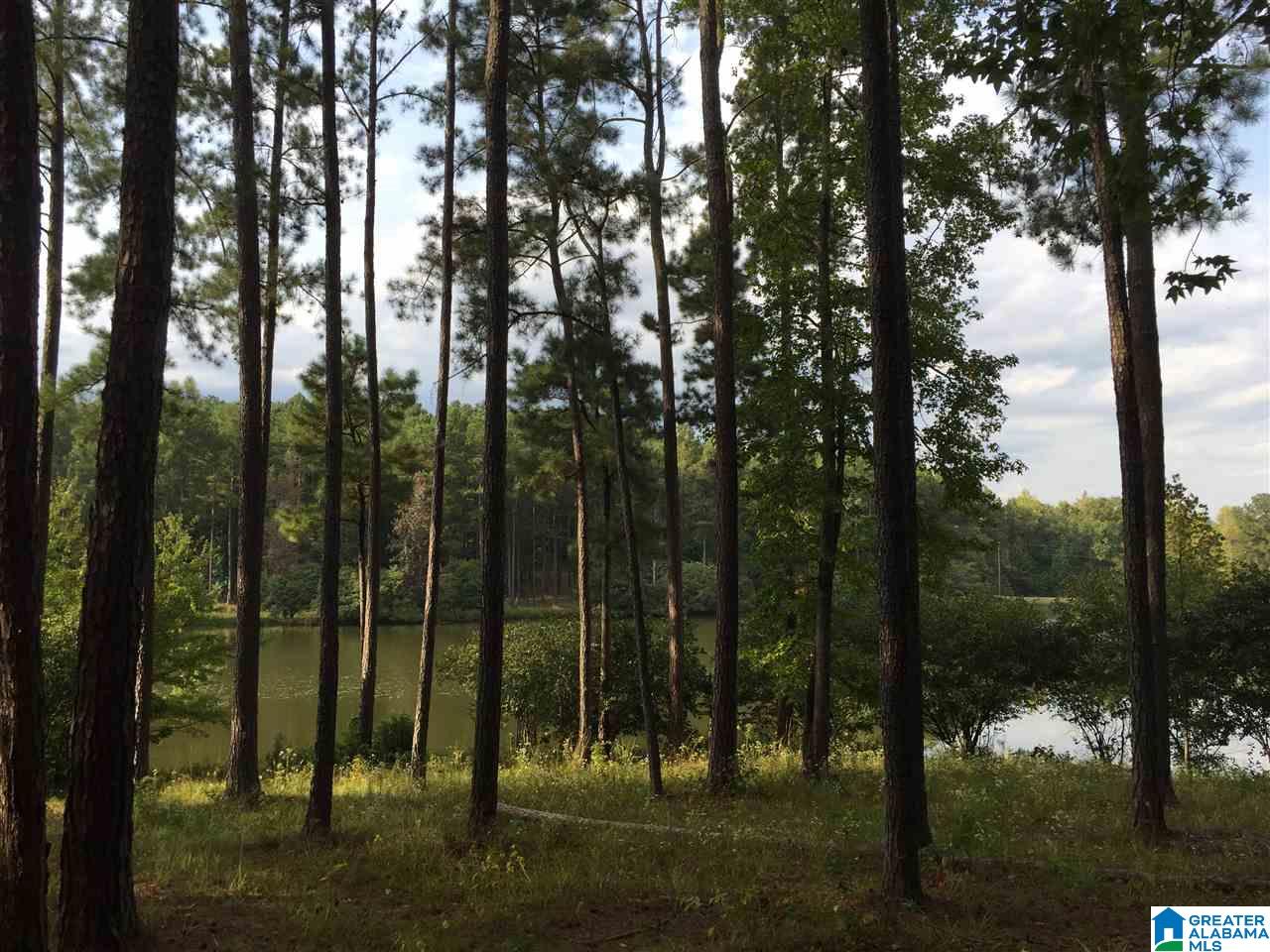 3 A Ridge Lake Road, Unit 3A Columbiana, AL 35051 - Photo 7 of 8 Gallery Image 7