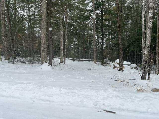 1 Railroad Bed Rd Lake View Milo, ME 04463 - Photo 25 of 27 IMG_2681 (1)