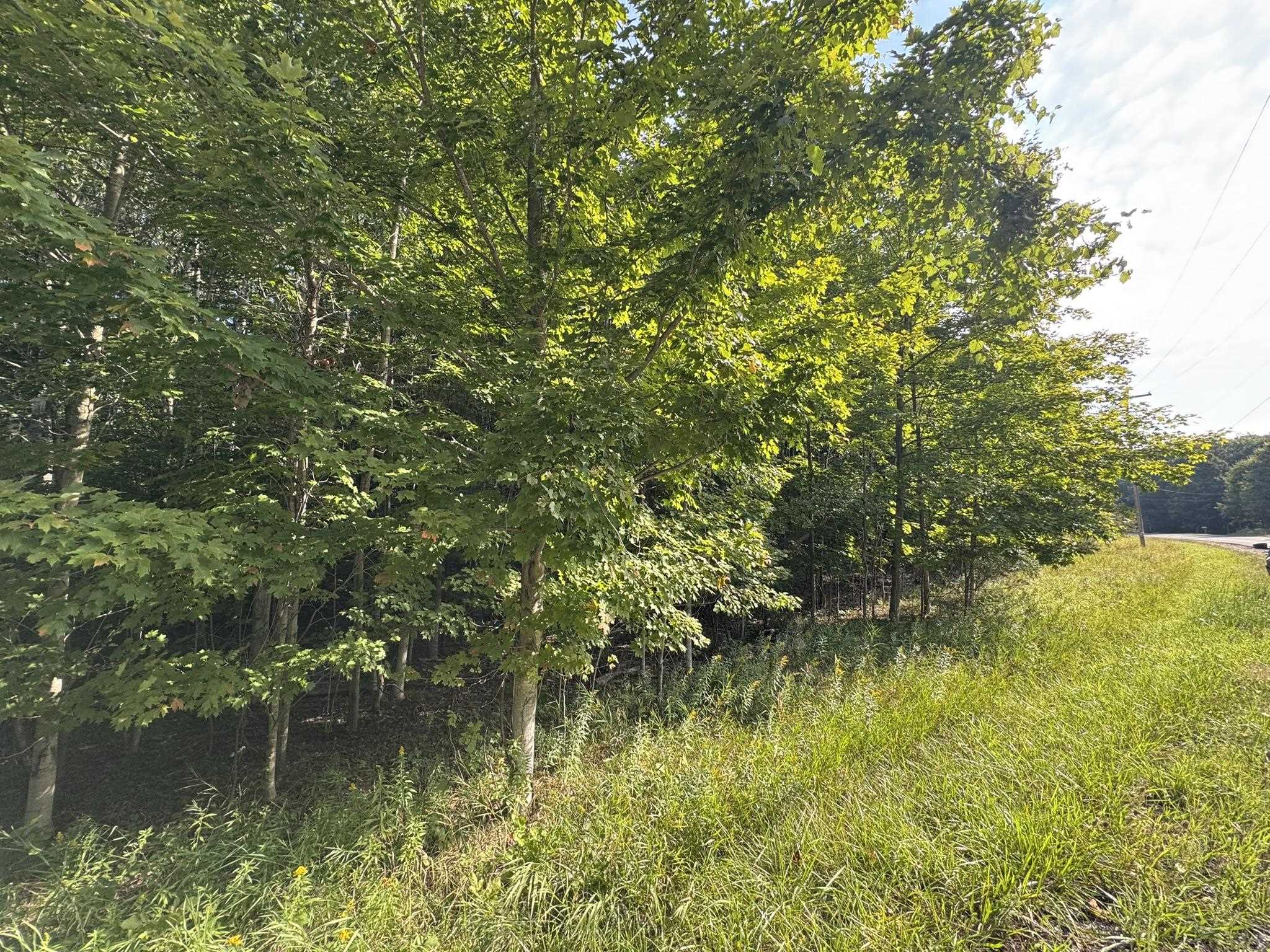 Lot 4 East Old Mountain Road, Unit LOT: 4 Cedar, MI 49621 - Photo 8 of 12