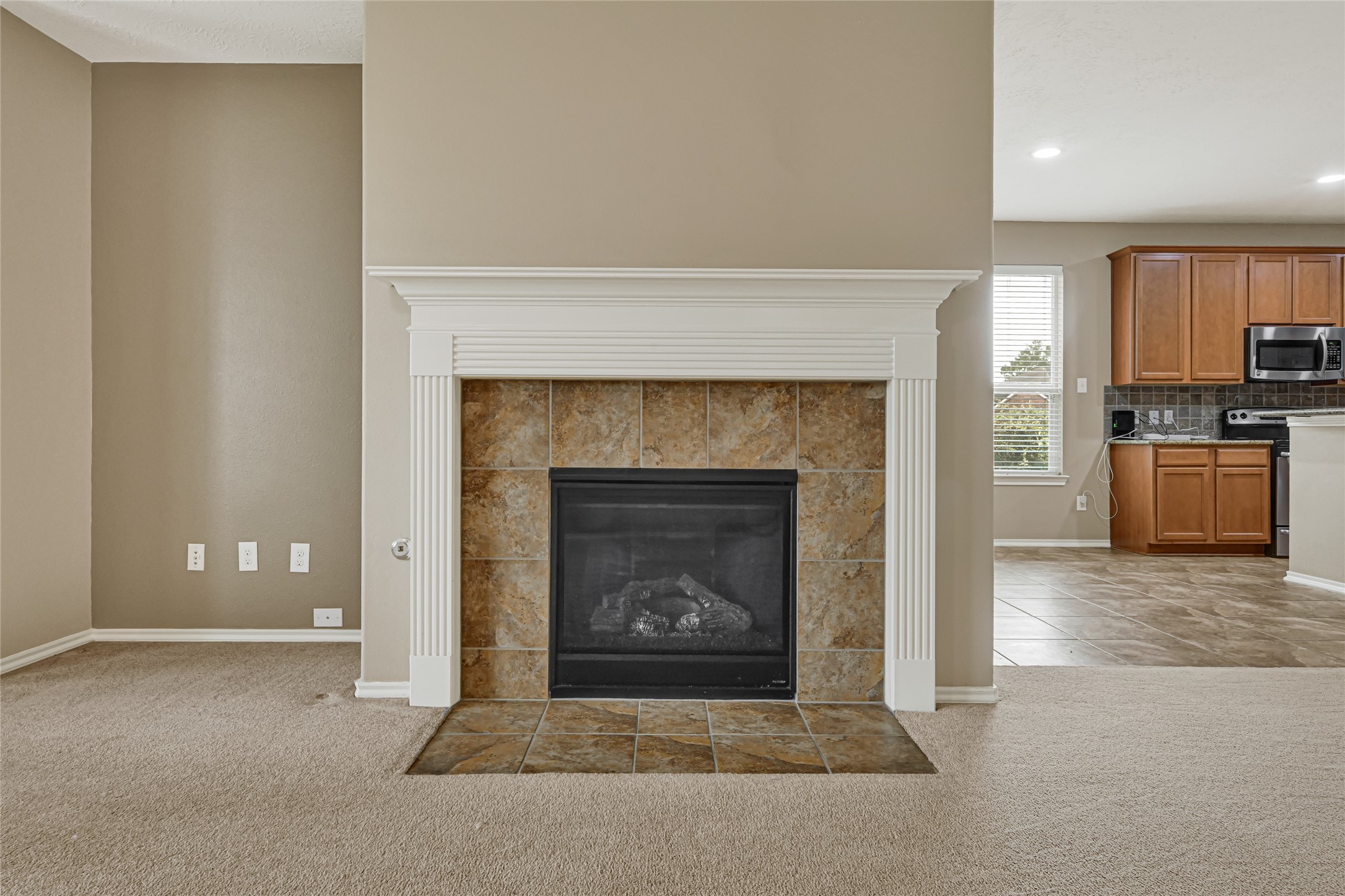 13610 Summer Spring Lane Rosharon, TX 77583 - Photo 14 of 25