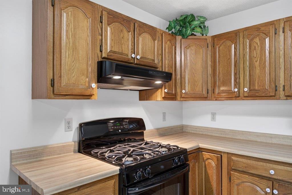 2220 Pine Woods Road Quicksburg, VA 22847 - Photo 32 of 55