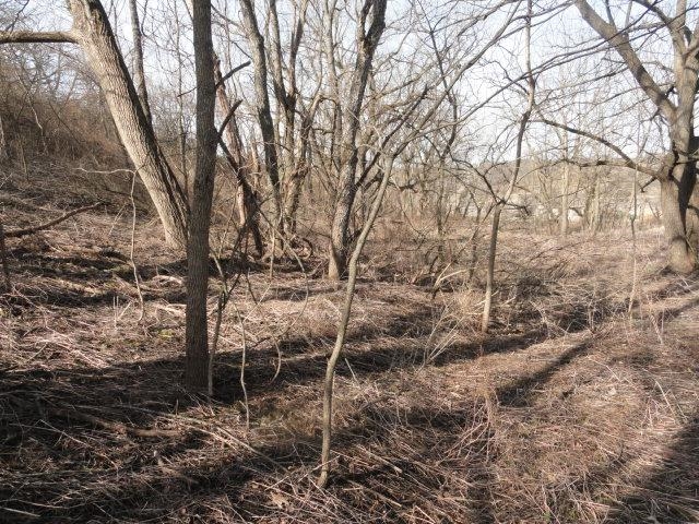Lt 9 Cardinal Crest Lane New Glarus, WI 53574 - Photo 62 of 64