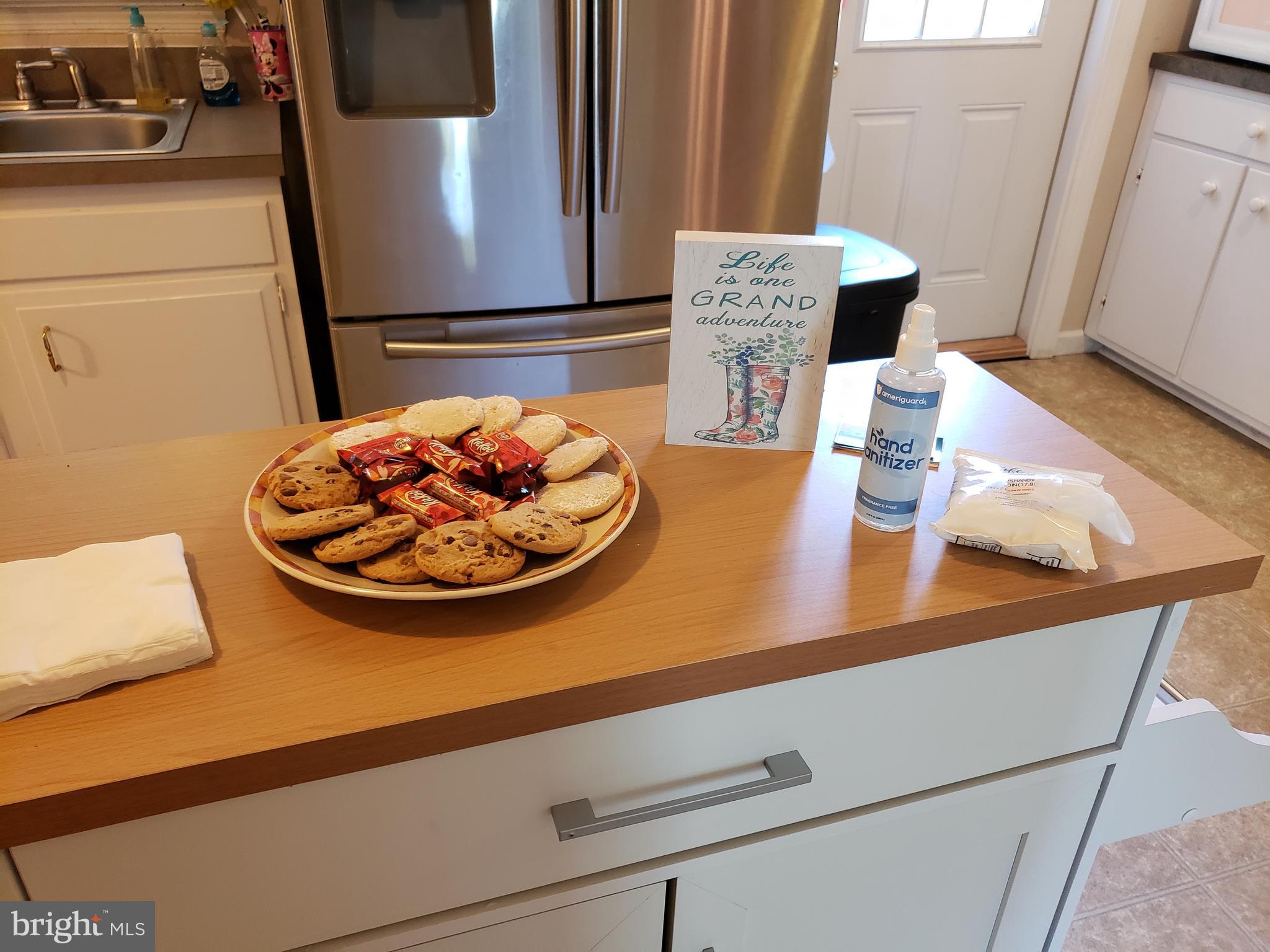6004 Burr Hill Road Rhoadesville, VA 22542 - Photo 6 of 21 Hand Sanitizer and Wipes in Kitchen!