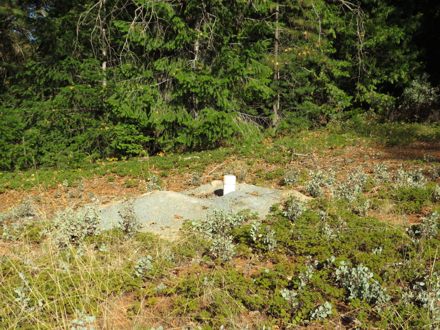 0 Steamers Ravine Road Colfax, CA 95713 - Photo 11 of 21 a view of a yard with a tree