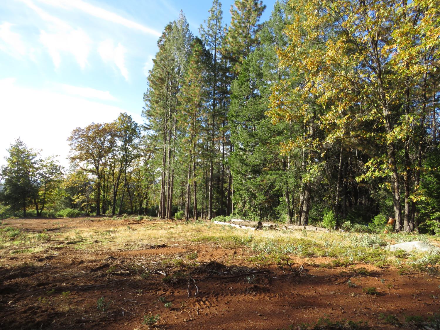 0 Steamers Ravine Road Colfax, CA 95713 - Photo 14 of 21 a view of yard covered with snow