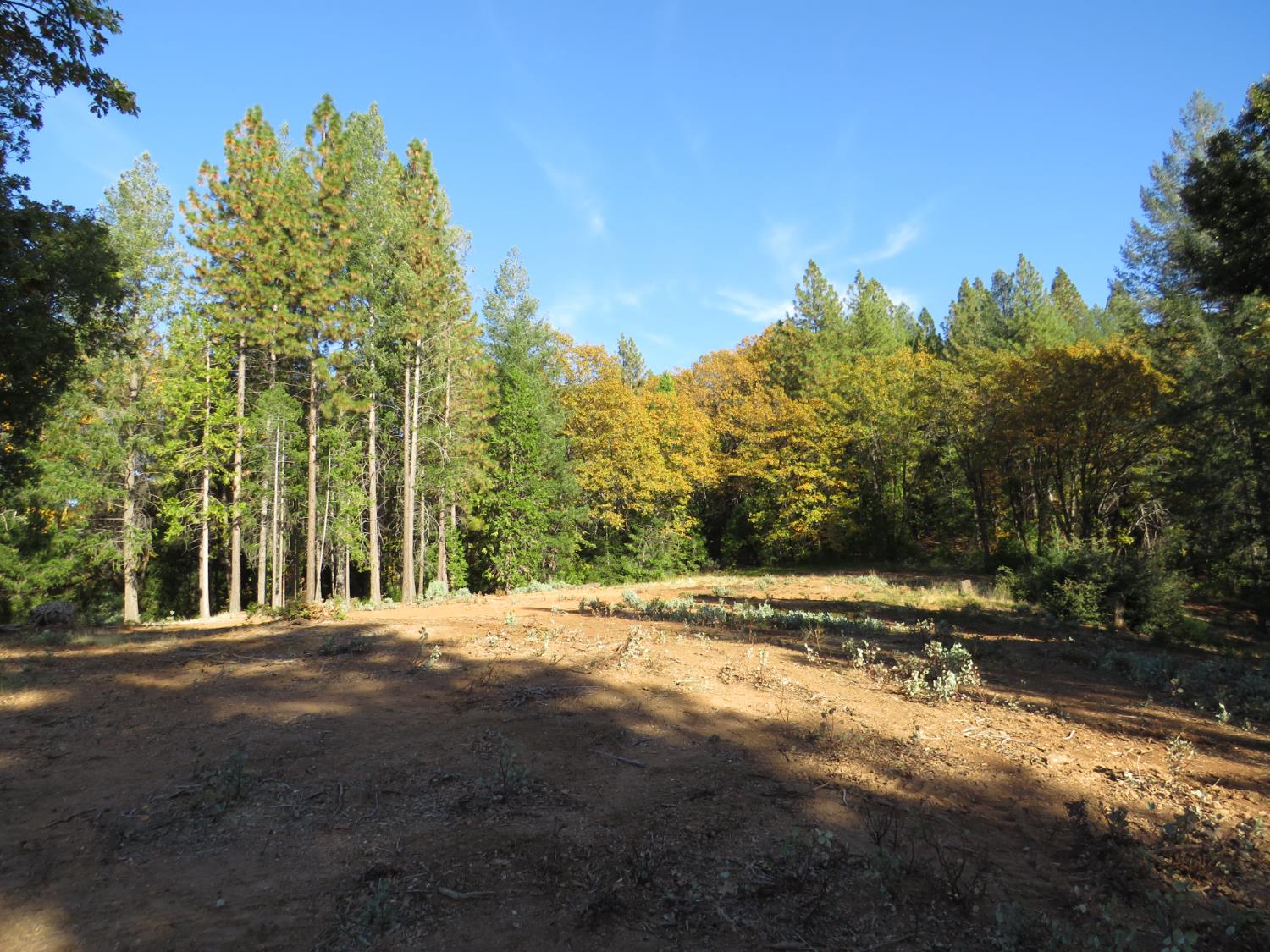 0 Steamers Ravine Road Colfax, CA 95713 - Photo 16 of 21 a view of a street with a building in the background