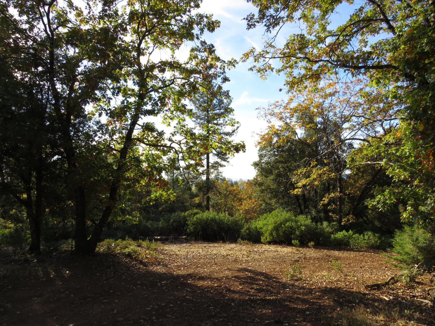 0 Steamers Ravine Road Colfax, CA 95713 - Photo 17 of 21 a view of an outdoor space with a tree