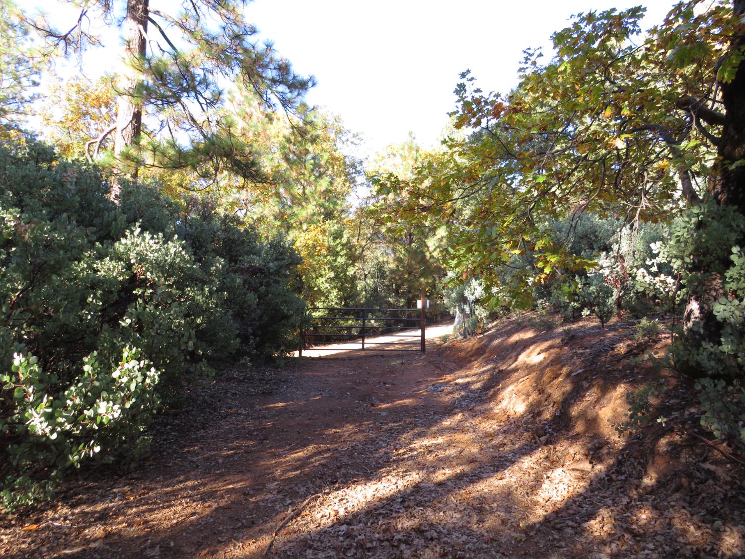 0 Steamers Ravine Road Colfax, CA 95713 - Photo 18 of 21 a view of a forest with trees