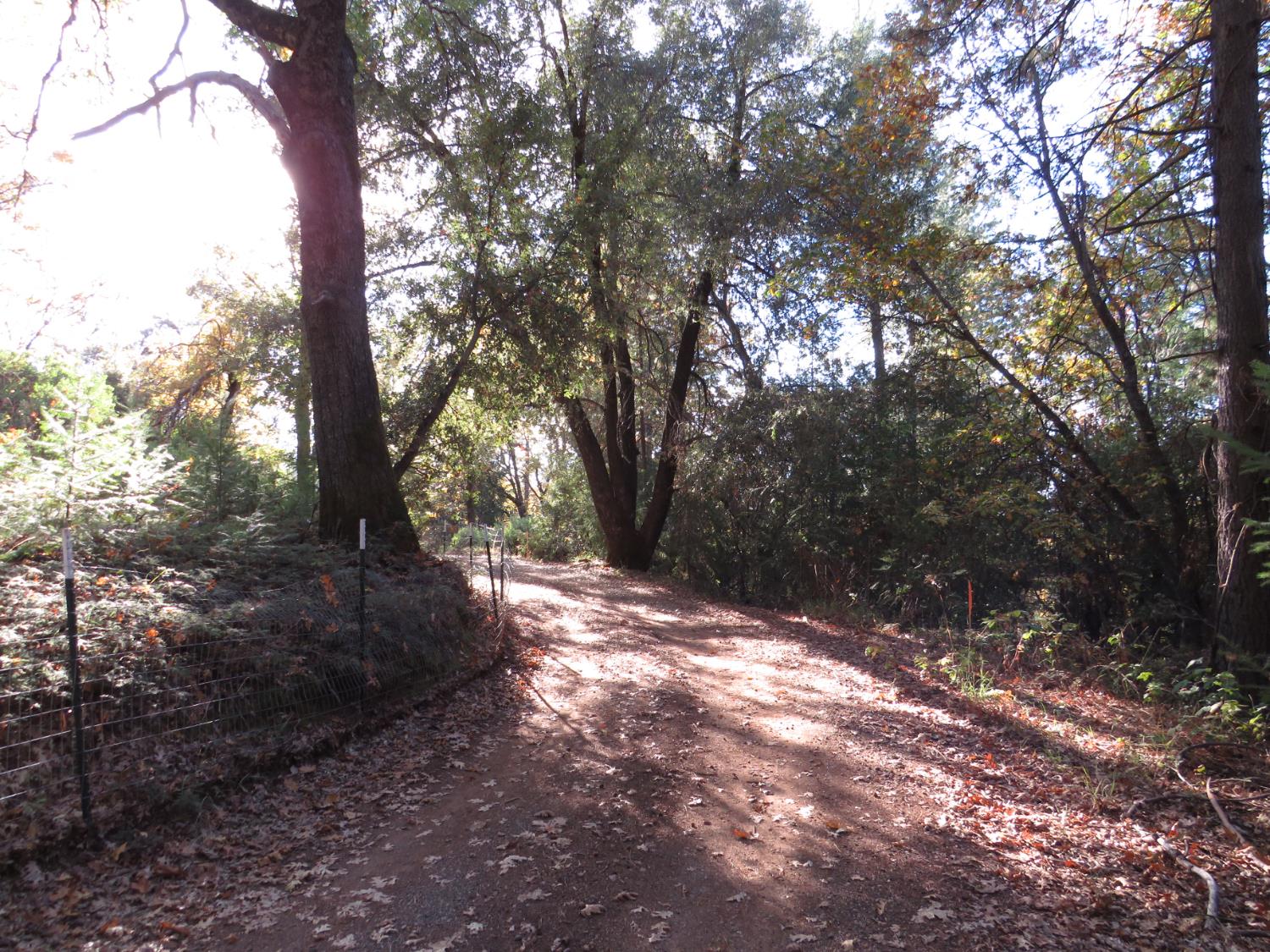 0 Steamers Ravine Road Colfax, CA 95713 - Photo 21 of 21