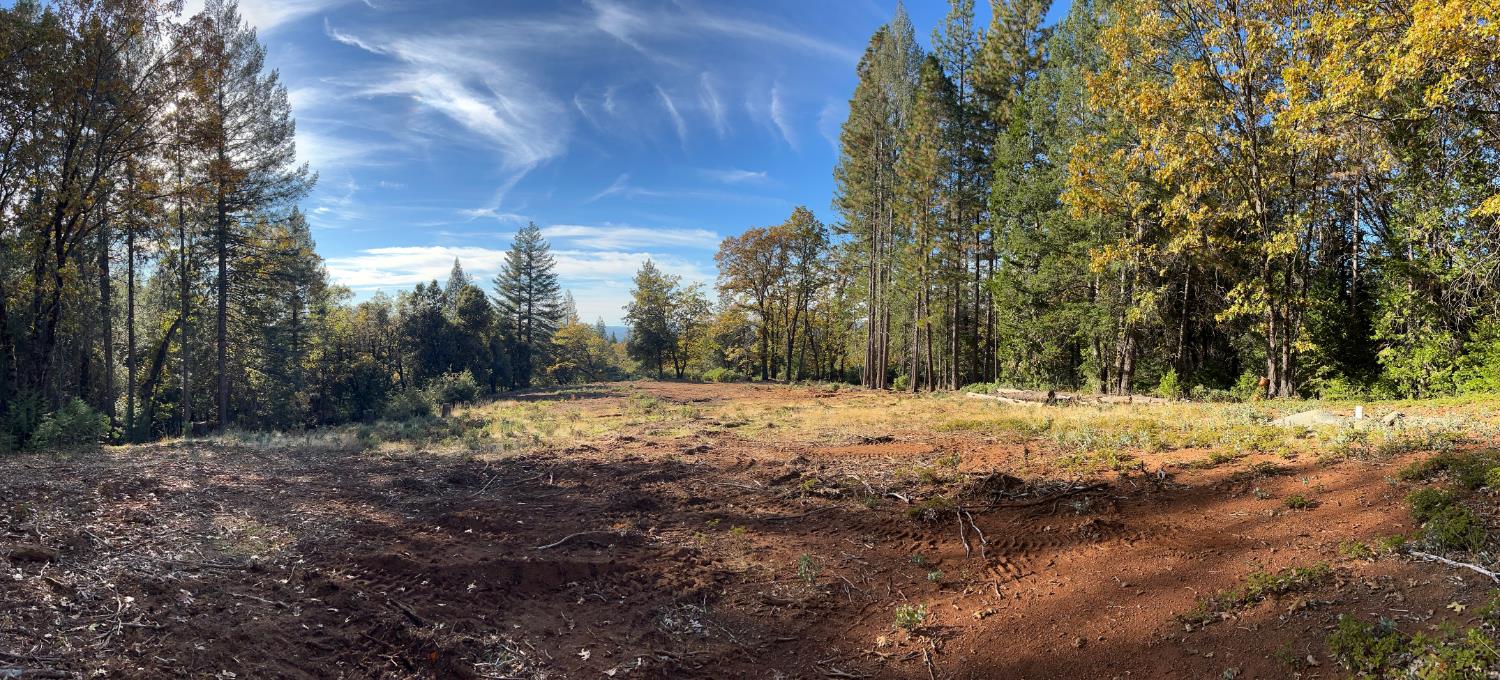 0 Steamers Ravine Road Colfax, CA 95713 - Photo 3 of 21 a view of a yard with trees