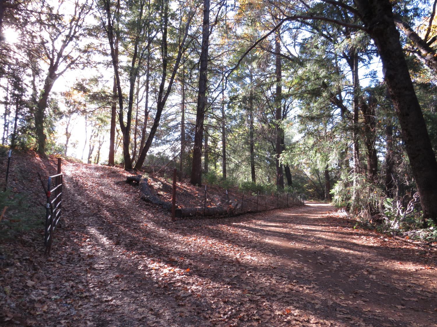 0 Steamers Ravine Road Colfax, CA 95713 - Photo 4 of 21 a view of outdoor space with trees