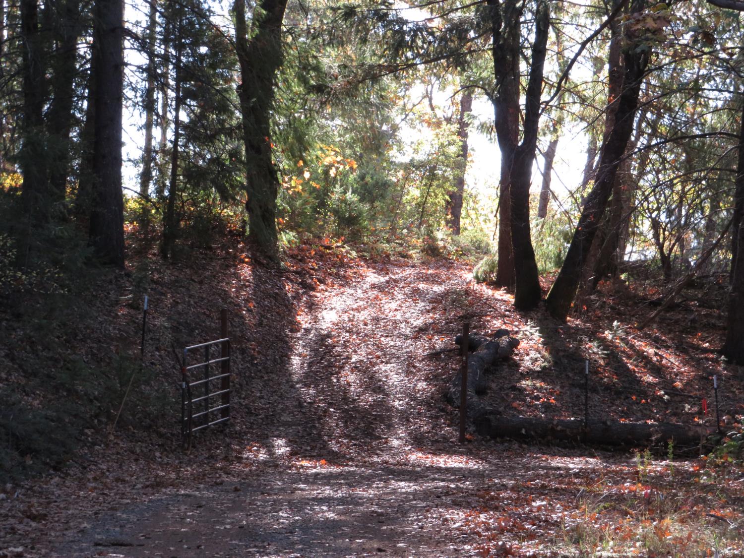 0 Steamers Ravine Road Colfax, CA 95713 - Photo 5 of 21 a view of trees